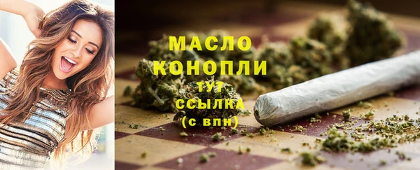 дмт Абаза