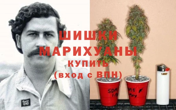 дмт Абаза