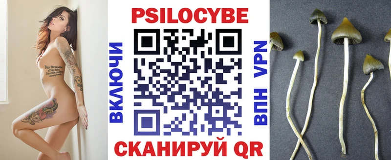 ссылка на мегу вход  Домодедово  Галлюциногенные грибы мицелий 