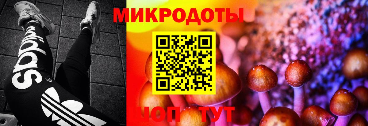 Галлюциногенные грибы Psilocybine cubensis Домодедово